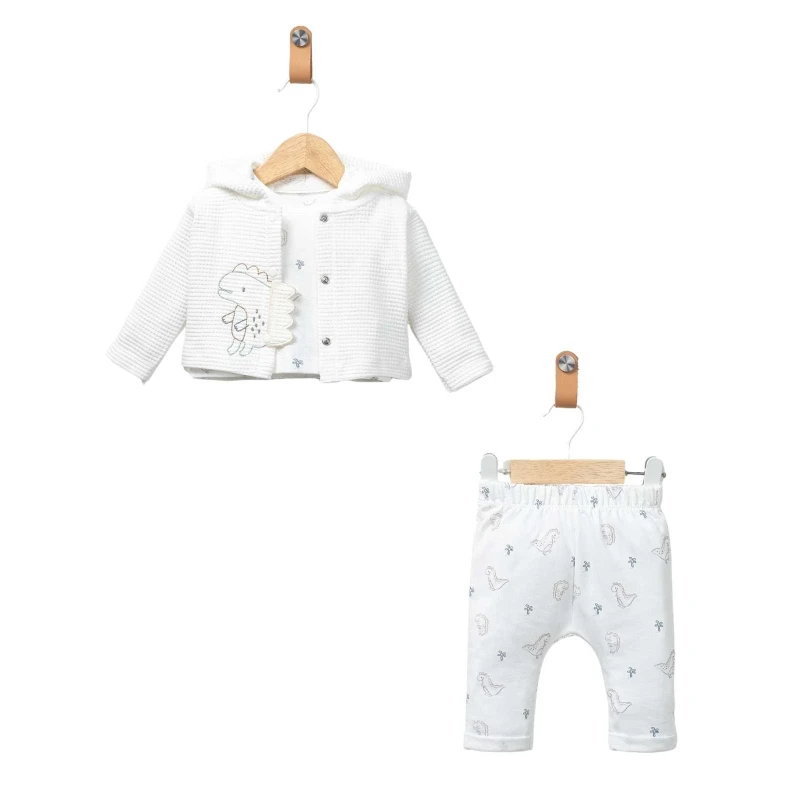 BEBE TK 3-6-9 AY 3154 ERKEK DİNO APLİKELİ 3LÜ TAKIM