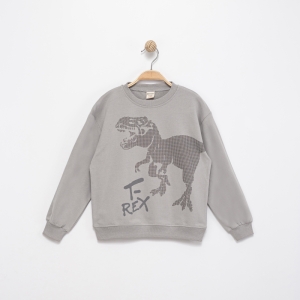 SWEAT 6-7-8-9 YAŞ 9939-3 ERKEK T-REX KABARTMA BASKILI SWEAT