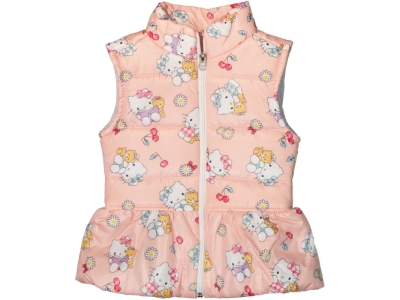 PUDRA